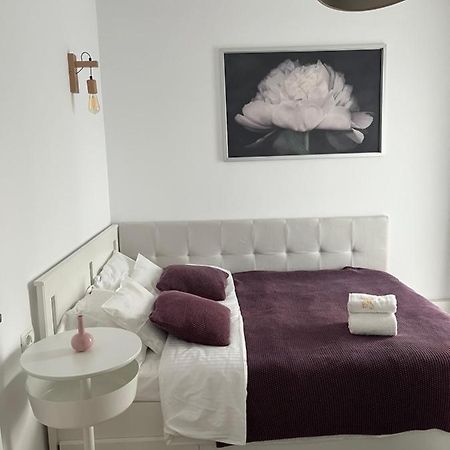Alma Apartments 苏恰瓦 外观 照片